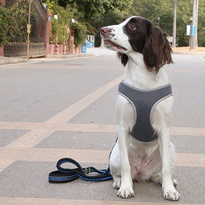 Dog Reflective Harness – Adjustable Dog Vest with Soft Padding for Comfort & Safety - Arlo Basket