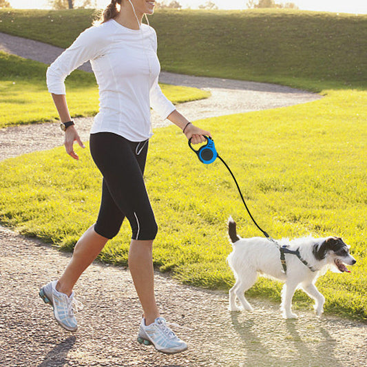 Effortless Walks with Our Automatic Retractable Dog Leash - Arlo Basket