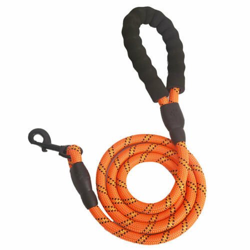 Reflective Nylon Dog Leash – Anti-Pull Braided Traction Rope for Safe Walking - Arlo Basket