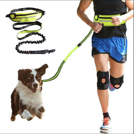 Ultimate Hands-Free Dog Leash for Active Walks & Training! - Arlo Basket